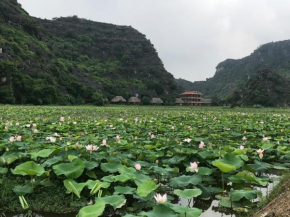 Ninh Binh Panorama Homestay